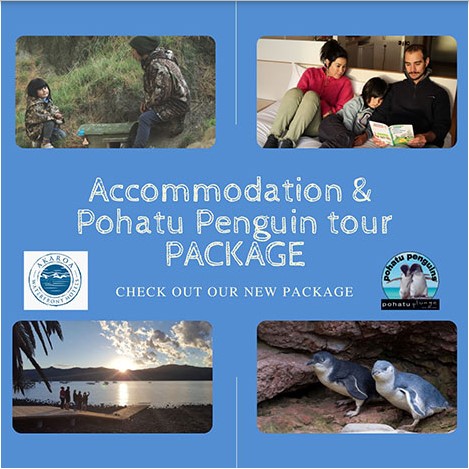 Akaroa package - night accommodation and penguin tour